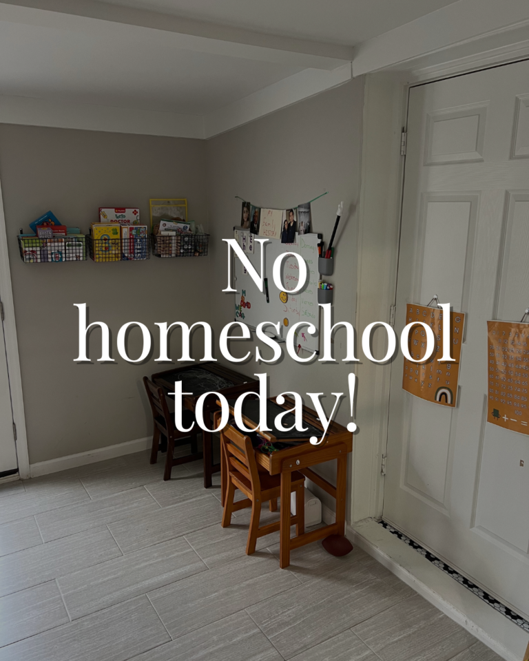 4 reasons why I took a weekday off from Homeschooling