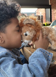boy with lion toy